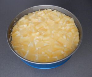 vrstva ananasu