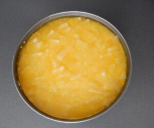 dort zalitý želatinou