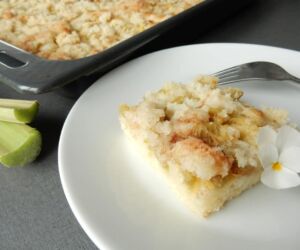 Rychlá buchta s rebarborou