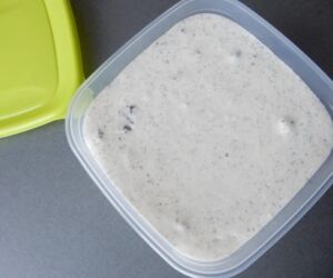 zmrzlina před zmrznutím