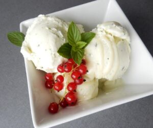 Domácí mátová zmrzlina